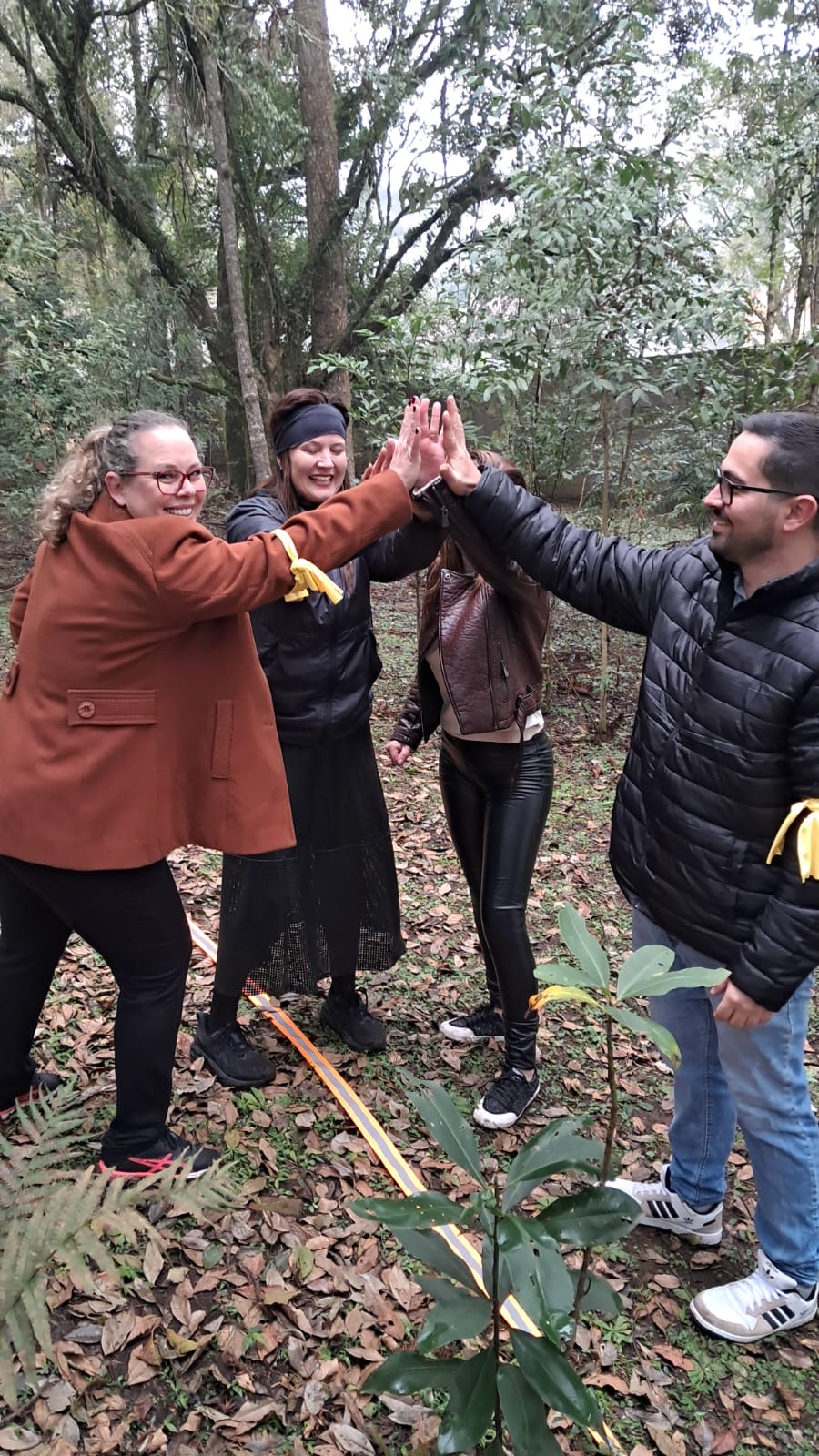 Equipe celebrando em dinâmica de team building ao ar livre